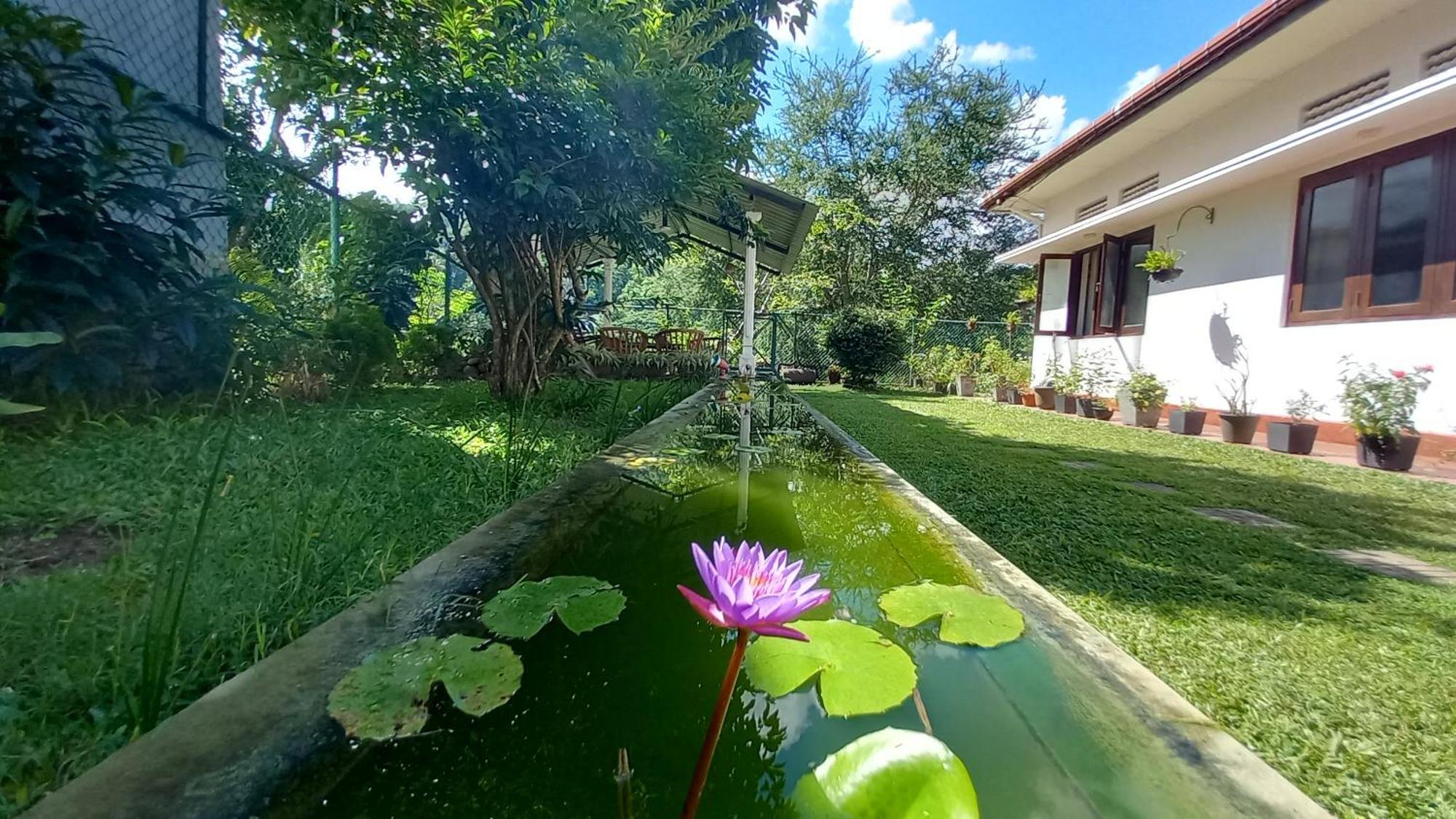 Mahaweli Shades Hotel Kandy Luaran gambar