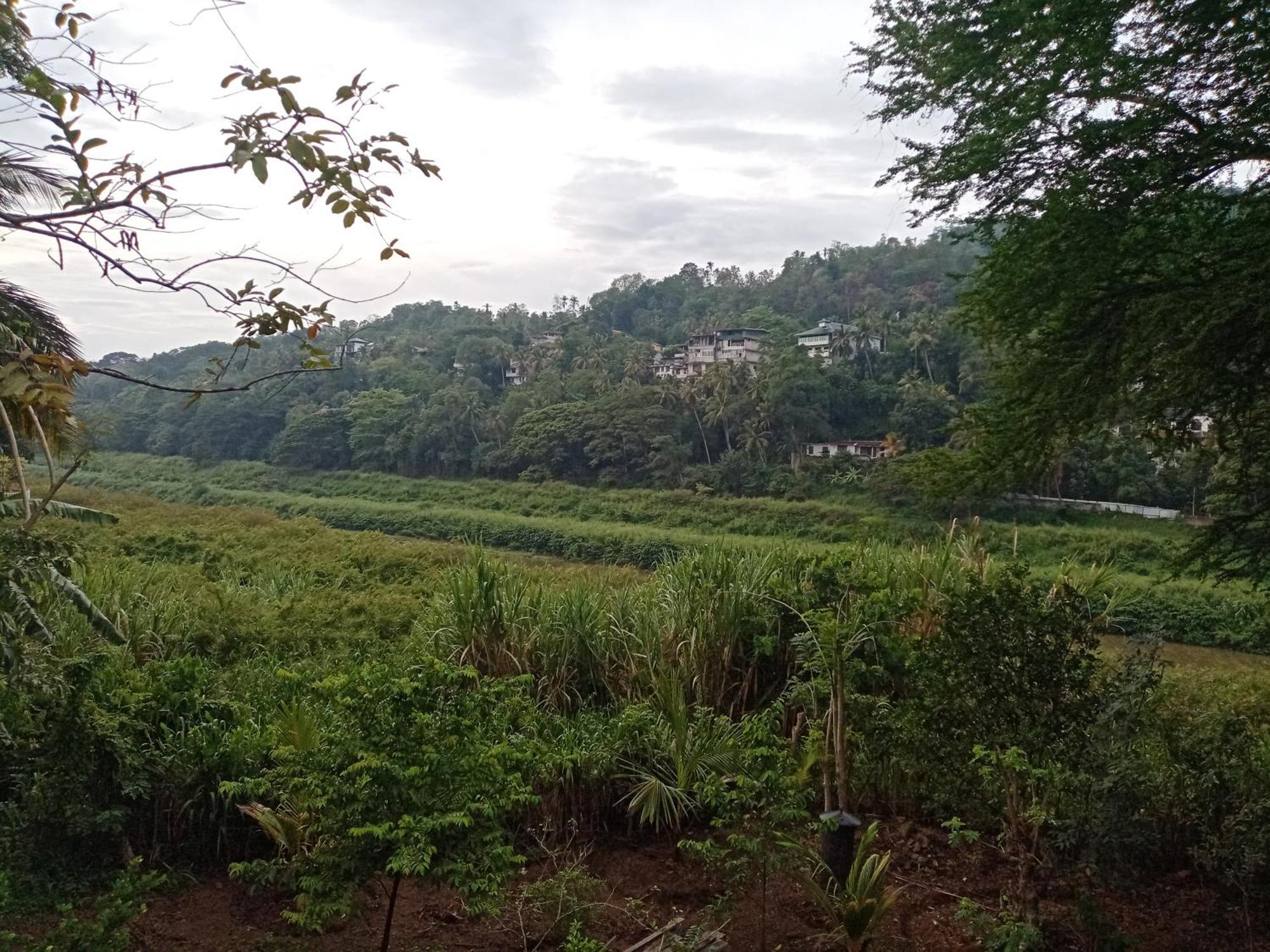 Mahaweli Shades Hotel Kandy Luaran gambar