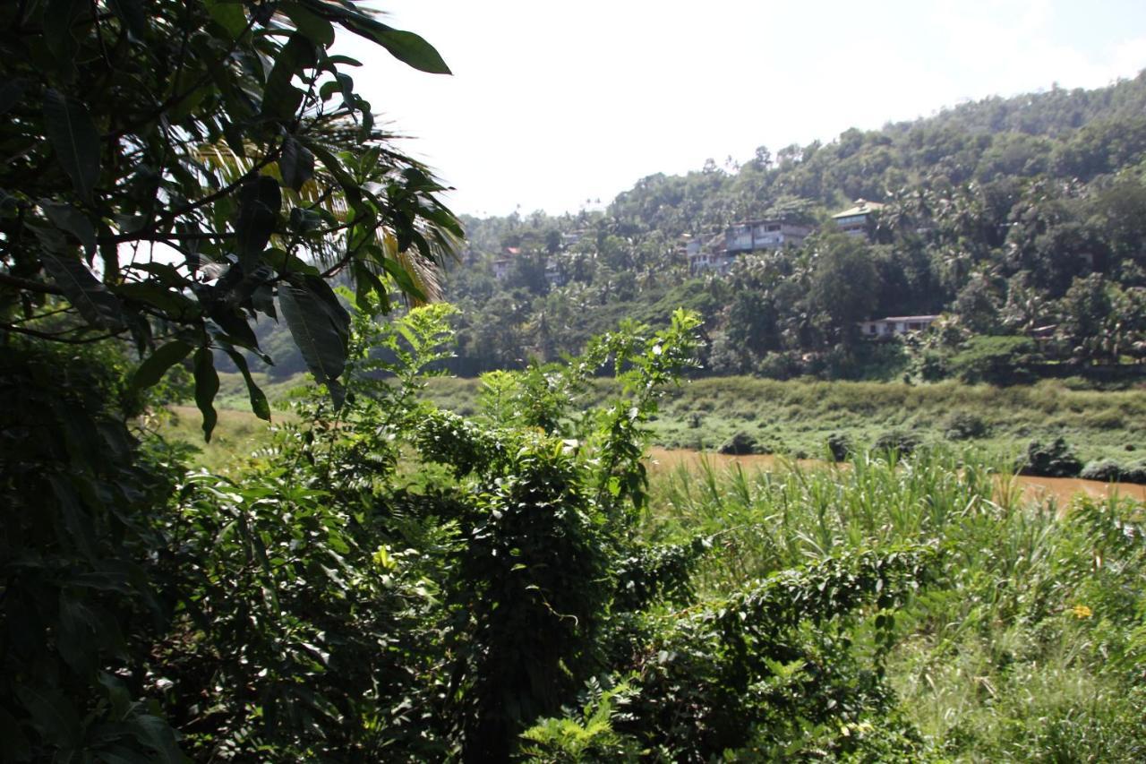 Mahaweli Shades Hotel Kandy Luaran gambar